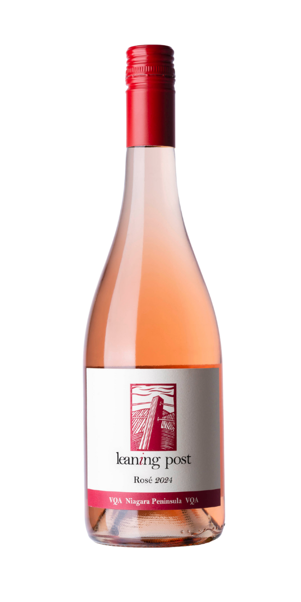 2024 Rose
