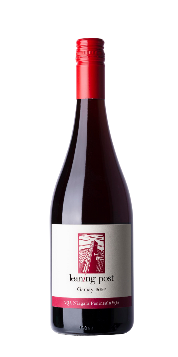2024 Gamay