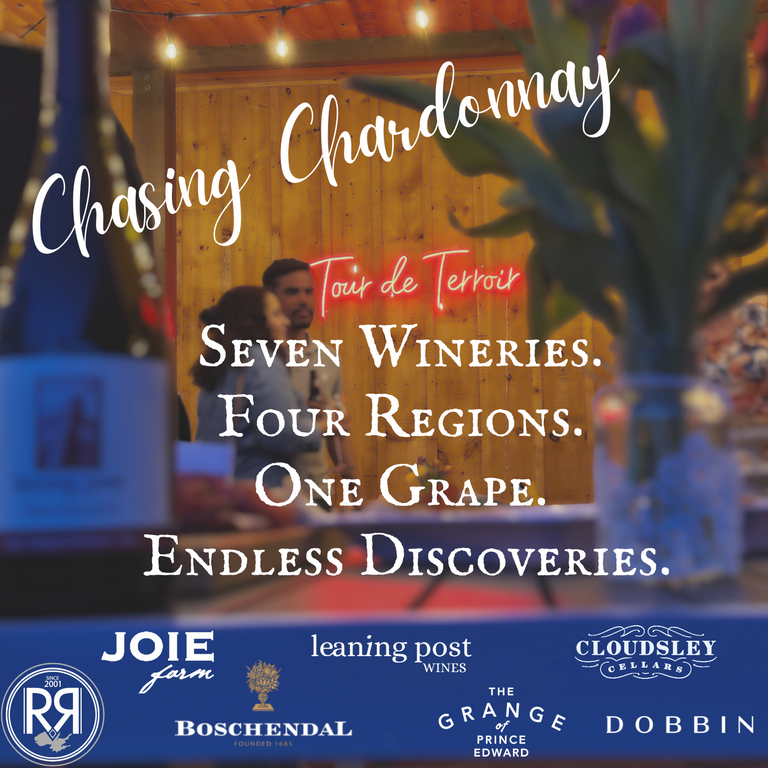 Chasing Chardonnay
