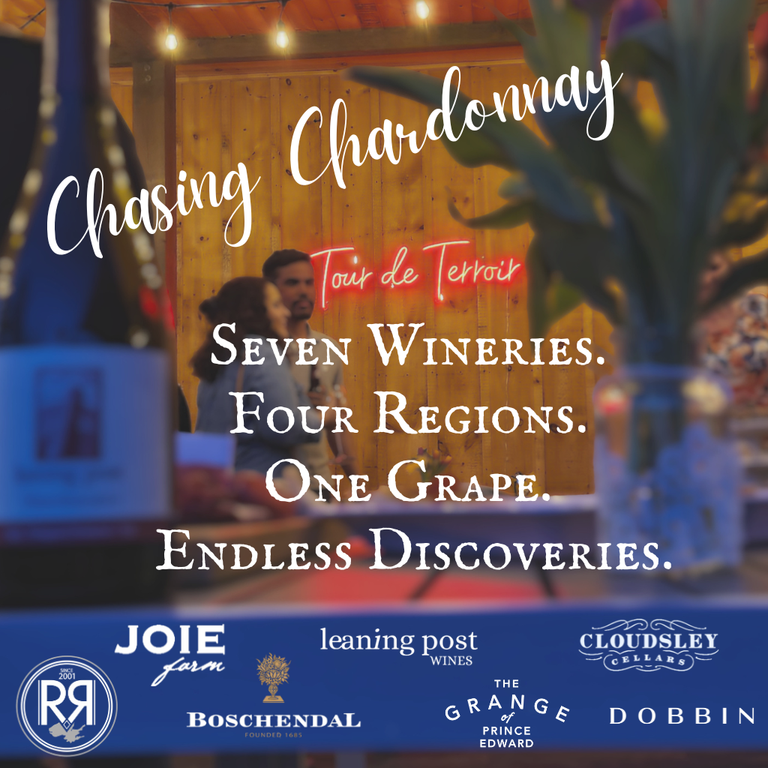 Chasing Chardonnay