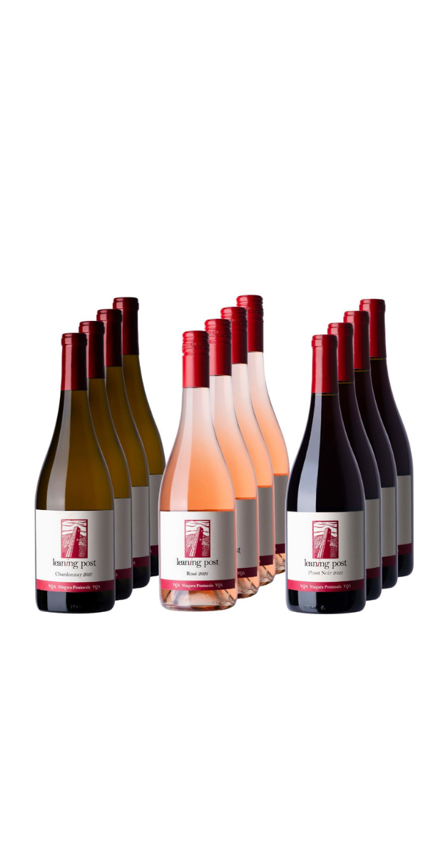 Long Weekend Necessities Case